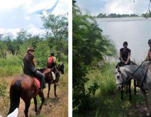 Horse Back Safari - Victoria Falls